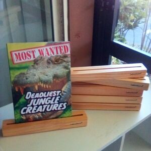 Lakeshore Wooden Book Display Holders Teacher Library